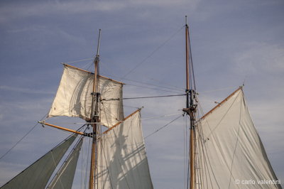 Viareggio vele storiche148