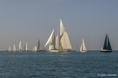 Viareggio vele storiche151