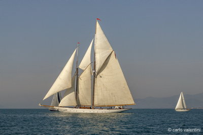 Viareggio vele storiche159