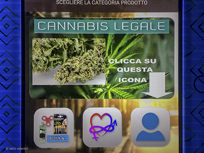 Cannabislegale3