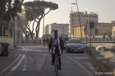 Carnevale gente687