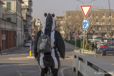 Carnevale gente688