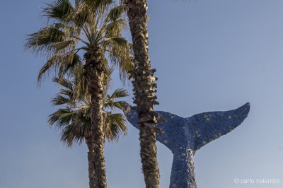 Viareggio carnevale2132
