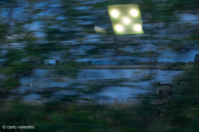 Massaciuccoli lago051