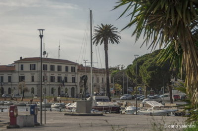 Viareggio10016