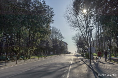 Viareggio9338