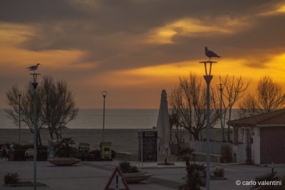 Viareggio9363