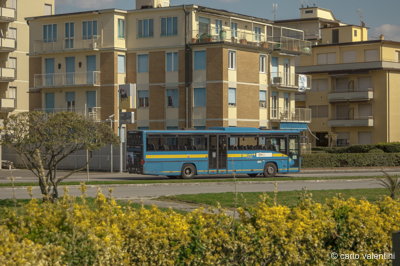 Viareggio9604