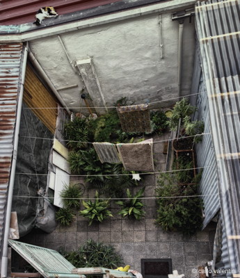 Cortile viareggio008declow