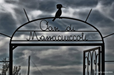 Massaciuccoli082declow