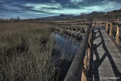 Massaciuccoli111declow