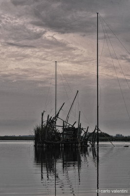 Massaciuccoli184declow