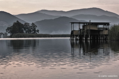 Massaciuccoli188declow