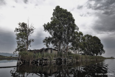 Massaciuccoli241declow