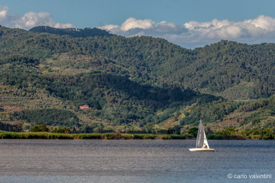 Massaciuccoli versilia341