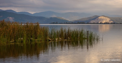 Torre del lago352