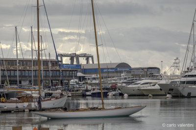 Viareggio vele storiche162