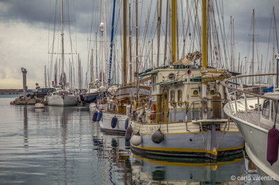 Viareggio vele storiche163