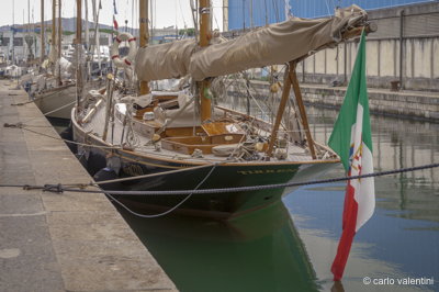 Viareggio vele storiche167