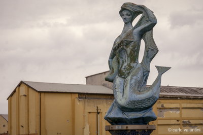 Viareggio vele storiche195