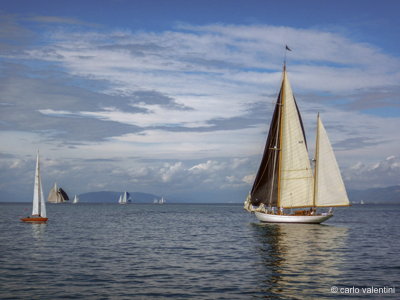 Viareggio vele storiche206