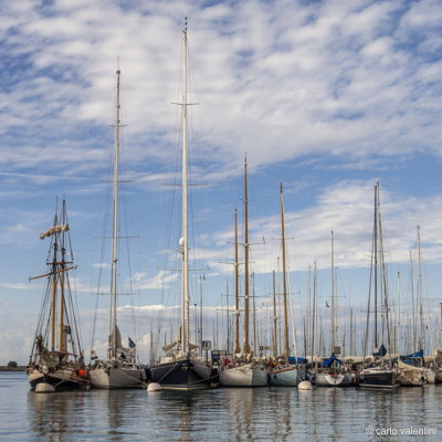 Viareggio vele storiche235