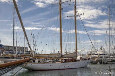 Viareggio vele storiche248