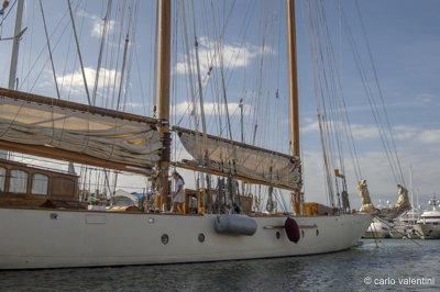 Viareggio vele storiche263