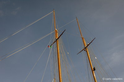 Viareggio vele storiche272