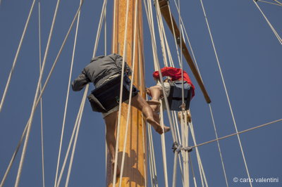 Viareggio vele storiche320