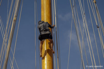 Viareggio vele storiche322