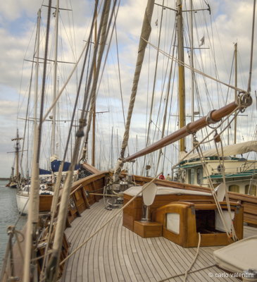 Viareggio vele storiche352