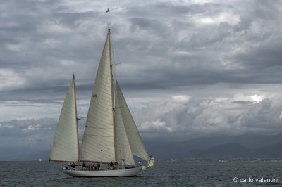 Viareggio vele storiche382dec