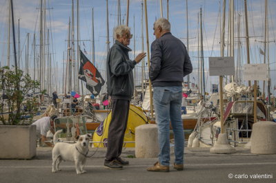 Viareggio vele storiche404