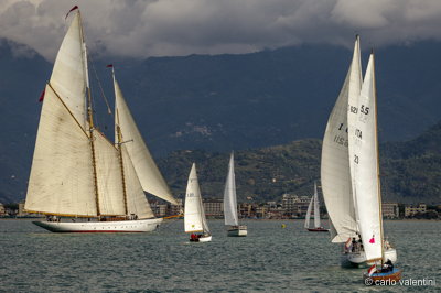Viareggio vele storiche441