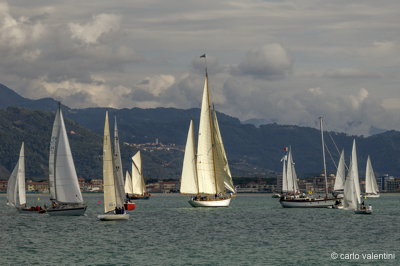 Viareggio vele storiche448