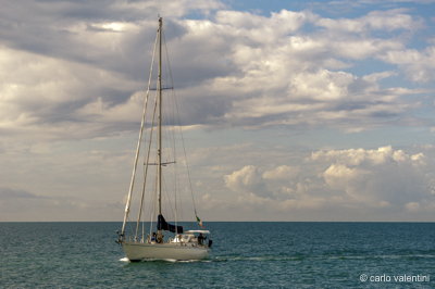 Viareggio vele storiche449