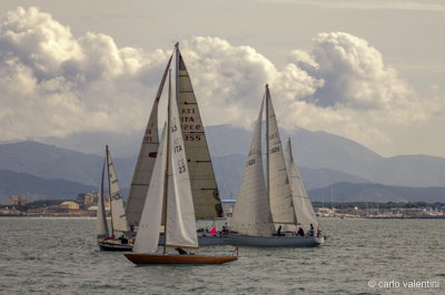 Viareggio vele storiche454
