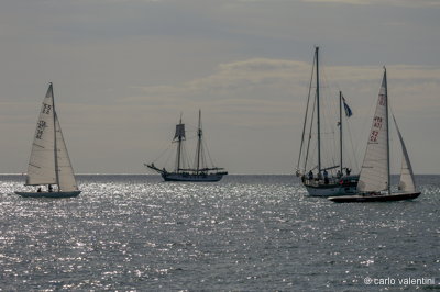 Viareggio vele storiche462