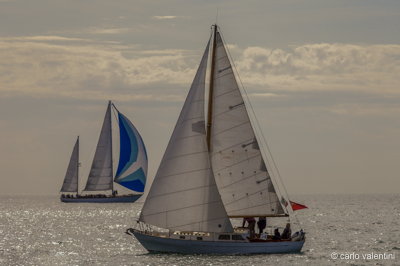 Viareggio vele storiche470