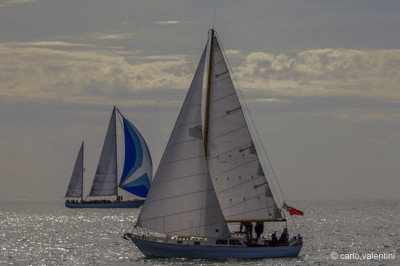 Viareggio vele storiche471
