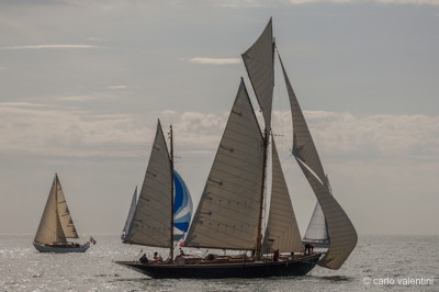 Viareggio vele storiche485