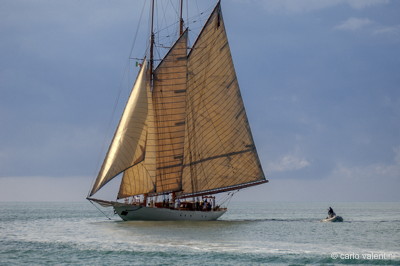 Viareggio vele storiche537