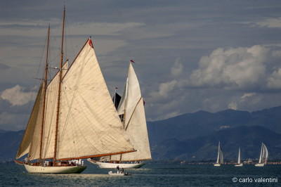 Viareggio vele storiche542