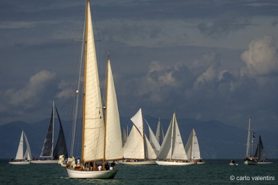 Viareggio vele storiche564