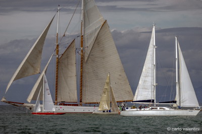 Viareggio vele storiche579