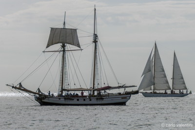 Viareggio vele storiche597