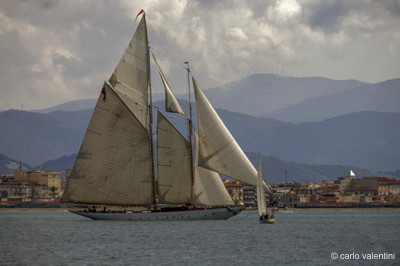 Viareggio vele storiche612