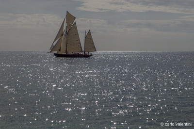 Viareggio vele storiche656