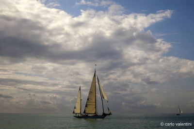 Viareggio vele storiche671